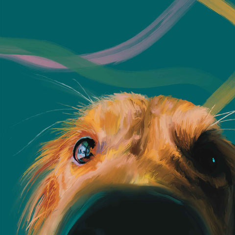 Golden Retriever Nose Boop Art Print - Close-Up Dog Portrait Painting with Brown Eyes and Golden Fur on Teal Background - Wall Art for Dog Lovers